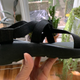 Look at that arch support!!!